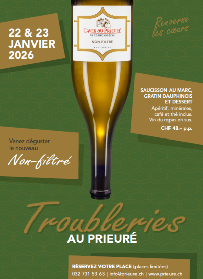 Flyer Troubleries 2025