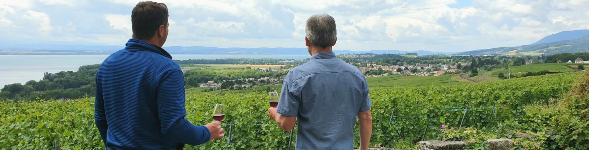 Vignoble et lac Vignoble et lac